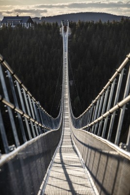 Mit knapp 100 Metern über dem Waldboden überquert man die Brücke.