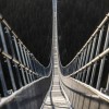 Mit knapp 100 Metern über dem Waldboden überquert man die Brücke.