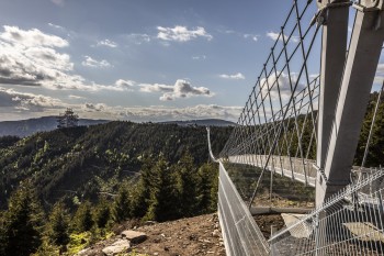 Die Brücke glänzt mit stolzen 721 Metern Länge.