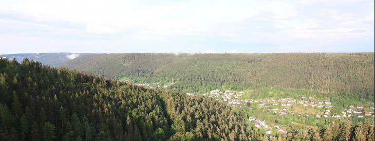 Von der Brücke hast du einen tollen Ausblick auf Bad Wildbad.