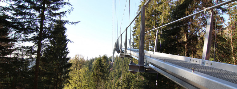 Am höchsten Punkt hängt die Brücke 60 Meter über dem Grund.
