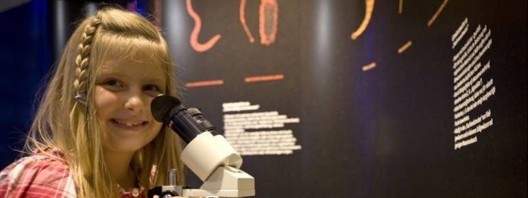 Unter dem Mikroskop sieht vieles gleich ganz anders aus.