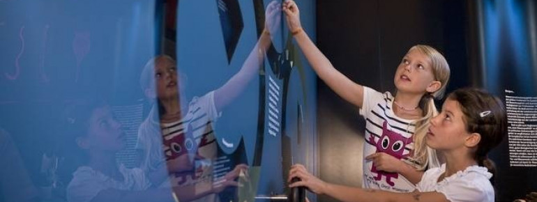 Auf Entdeckungsreise im Haus am Strom