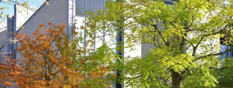Der Museumsgarten