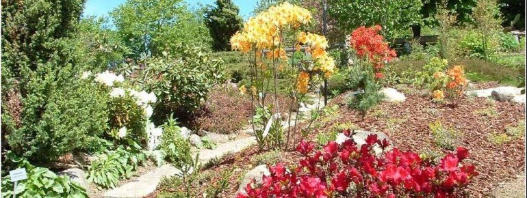 Lerne traditionelle Kräuter und Heilpflanzen kennen