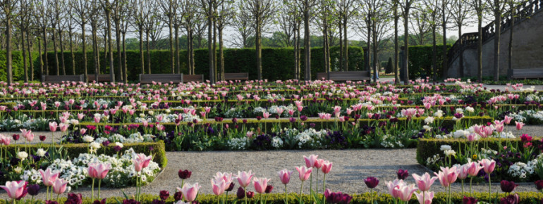 Der fürstliche Blumengarten im Frühling