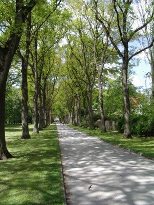 Viele Bäume spenden Schatten im Hofgarten.