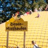 Endloser Kletterspaß auf dem Rießenmisthaufen.