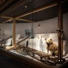 Ausstellungsraum im Skimuseum