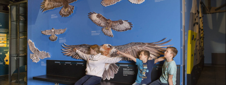 An interaktiven Stationen können die Kids die Geheimnisse der heimischen Bergwelt entdecken.