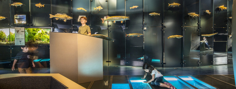 Der gläserne Fluss in der Erlebniswelt Wasser.