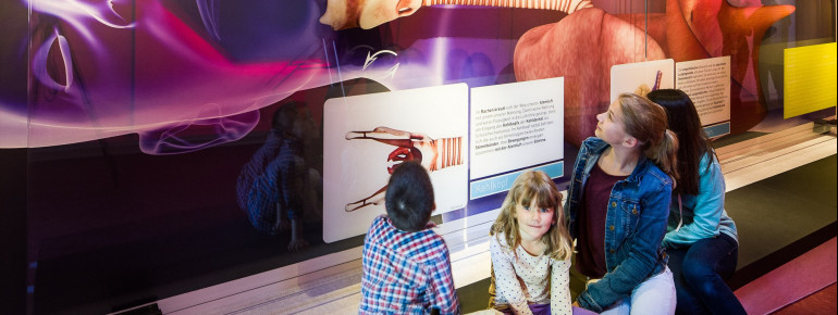 Im Ausstellungsteil "Das Wunder Mensch" wird der menschliche Körper begehbar.