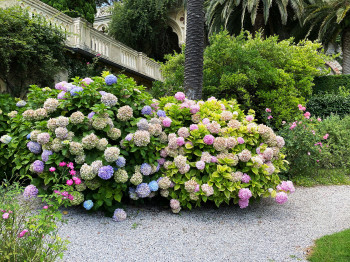 Kaum zu glauben, aber auf der Isola del Garda arbeiten lediglich zwei Gärtner. Die Hausherrin selbst kümmert sich leidenschaftlich um die Gartenanlage.
