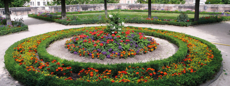 Der Burggarten befindet sich auf den ehemaligen Bastionen. Auf der großen Bastion ist ein Rosenquartier angelegt.