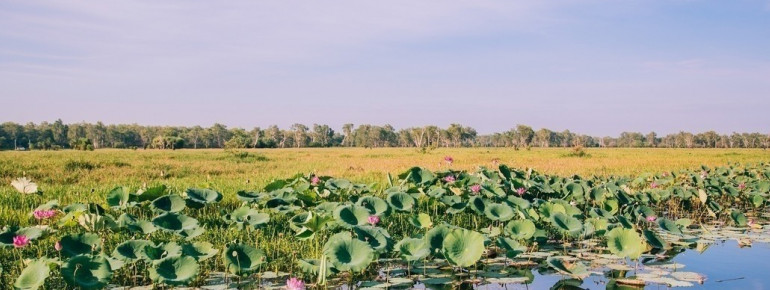 Yellow Water, Kakadu National Park, NT 2013