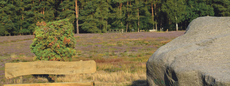 Bank und Hermann-Löns-Stein