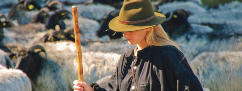 Schäferin Nancy ist mit den Heidschnucken unterwegs.
