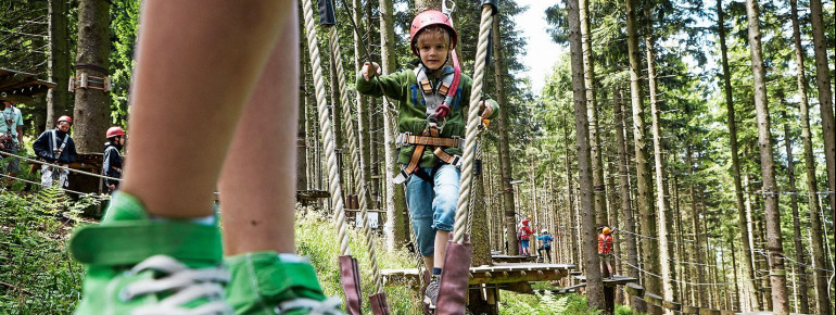 Im Kletterwald haben vor allem Kinder großen Spaß.