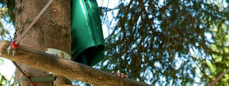 Gut gesichert kann der Kletterspaß beginnen.