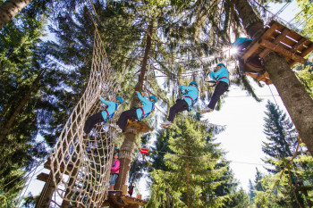 Schwinge dich vom Baum bis zum Netz. Ob es so leicht ist, wie es aussieht, kannst du im Kletterwald Söllereck selbst probieren.