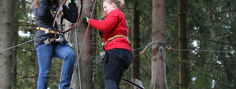 Dank eines speziellen Sicherungssystems kletterst du in Winterberg ganz risikofrei durch die einzelnen Parcours.