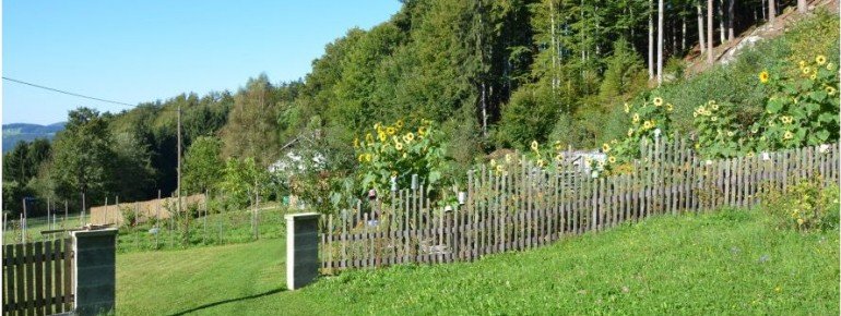 Der Garten auf der Kräuteralm