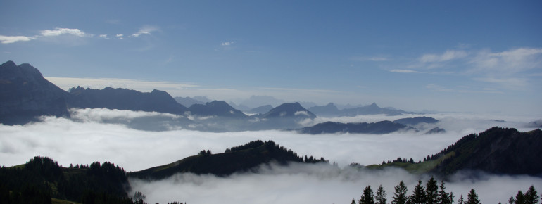 Am Kronberg warten abwechslungsreiche Erlebnisse.