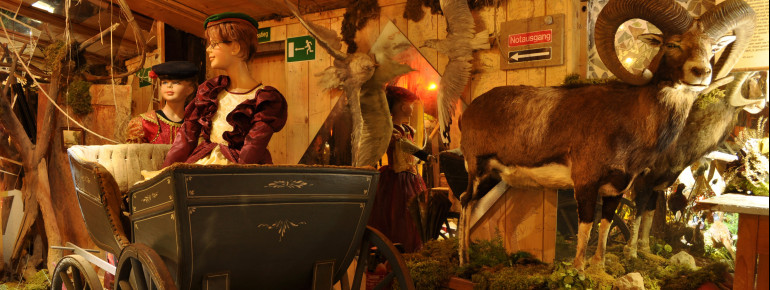 Das Kutschenmuseum wurde nach einem 2-jährigen Umbau wiedereröffnet.