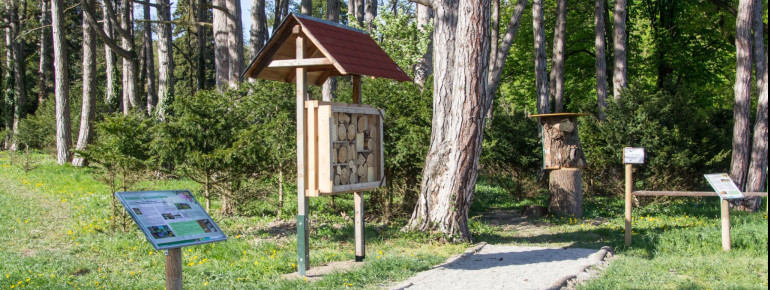 Die Informationstafeln an den Lehrpfaden geben viele Tipps und informieren über die Natur.
