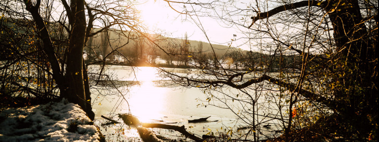Der Tierpark hat eine Gesamtfläche von knapp 2.450 Hektar.