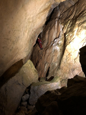 Bei zahlreichen Expeditionen entdeckten Forscher die Teile der Lamprechtshöhle.