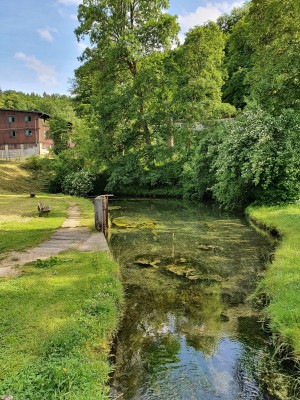 Die Lauterquelle wird von fünf Karstquellen gespeist, die zusammen rund 150 Liter Wasser pro Sekunde liefern.