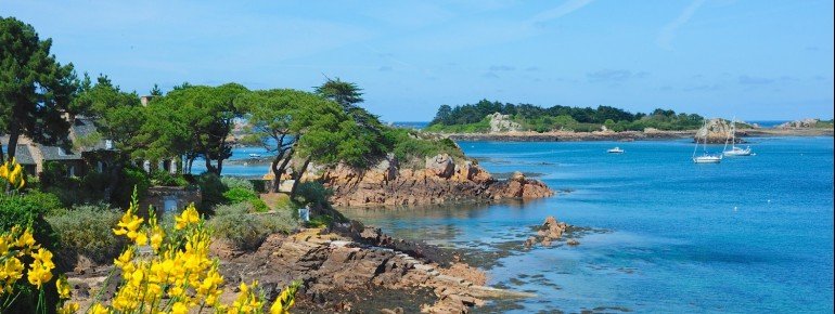 Die Île de Bréhat trägt zu Recht den Beinamen Blumeninsel.