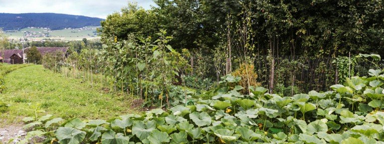 Herbstarbeiten im Lemurien Lehrgarten