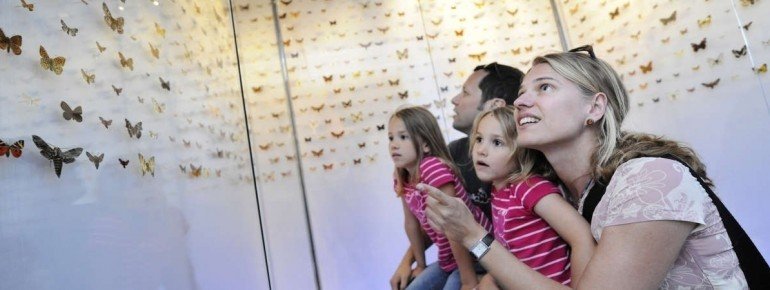 Seit 2003 gibt es im Museum auch eine naturkundliche Ausstellung