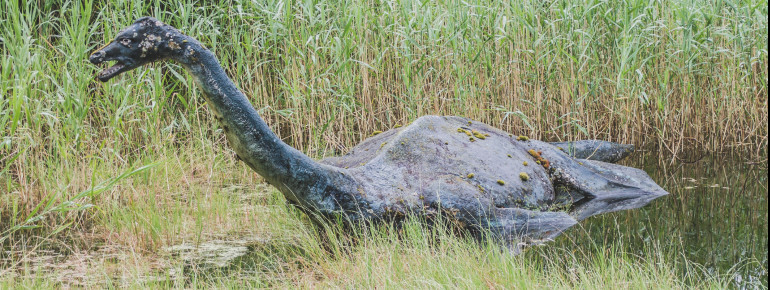 Ist das wirklich Nessie?