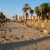 Überreste der Sphingenallee, die den Luxor-Tempel mit dem Komplex in Karnak verband