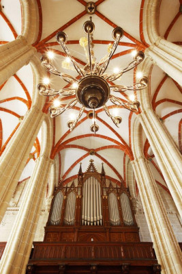 Sauer-Orgel