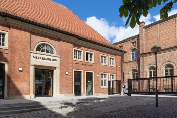 Mitten in der Stralsunder UNESCO-Welterbe-Altstadt liegt das MEERESMUSEUM im gotischen Backsteinbau des ehemaligen Dominikanerklosters St. Katharinen.