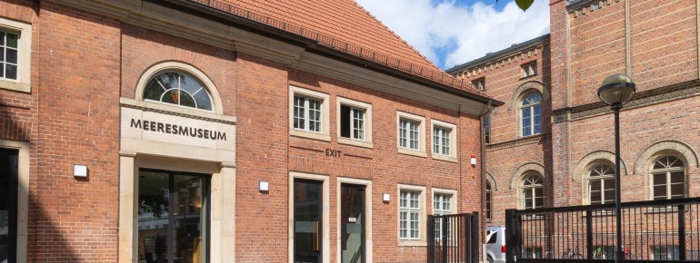 Mitten in der Stralsunder UNESCO-Welterbe-Altstadt liegt das MEERESMUSEUM im gotischen Backsteinbau des ehemaligen Dominikanerklosters St. Katharinen.