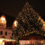 Der Meißner Weihnachtsbaum erstrahlt mit seinen Lichterketten in festlicher Pracht.