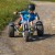 Auf drei Rädern und 1.100 Metern geht es mit dem Mountaincart die Skipiste am Ritzhagen in Willingen hinunter – Fahrspaß für die ganze Familie.