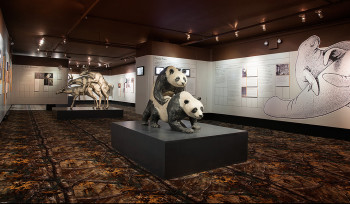 Auch das Sexuallieben der Tierwelt findet Platz im Museum.