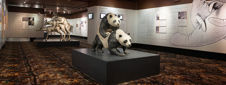 Auch das Sexuallieben der Tierwelt findet Platz im Museum.