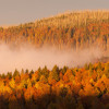 Erlebe im Herbst ein buntes Farbspiel im Nationalpark Bayerischer Wald.