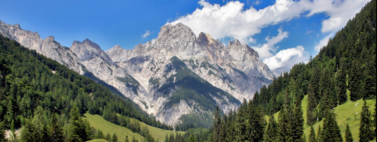 Bei einer Wanderung im Nationalpark laden zahlreiche bewirtschaftete Almen zur Rast ein.