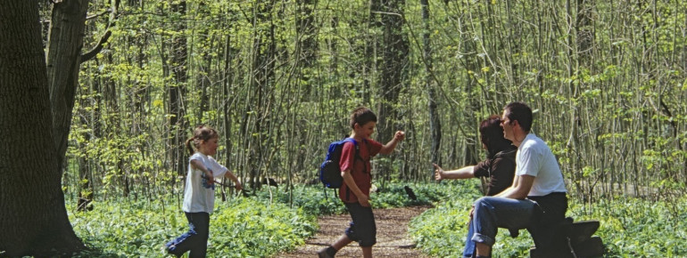 Nationalpark Hainich