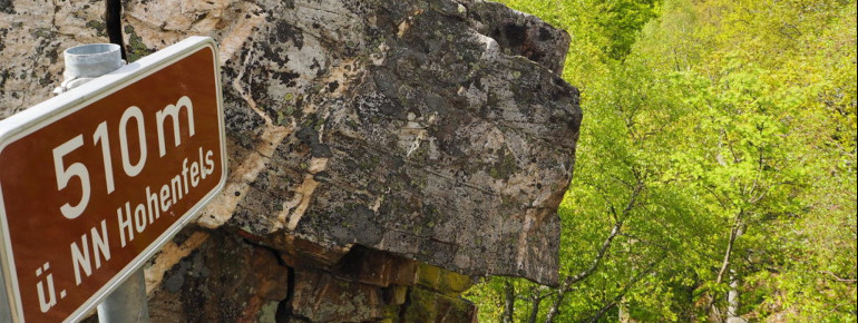 Eine der schönsten Wanderungen im Nationalpark Hunsrück-Hochwald führt auf den 510 Meter Hohenfels.