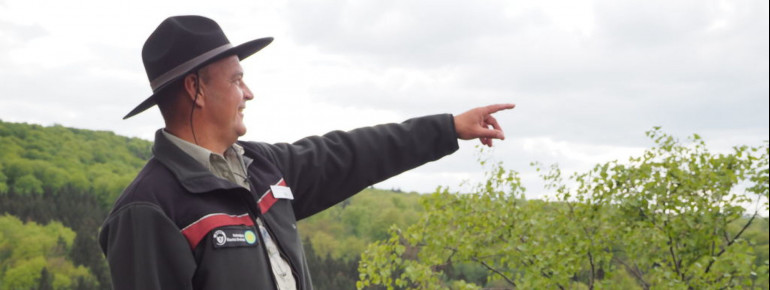Im Nationalpark Hunsrück-Hochwald werden Ranger-Touren angeboten.