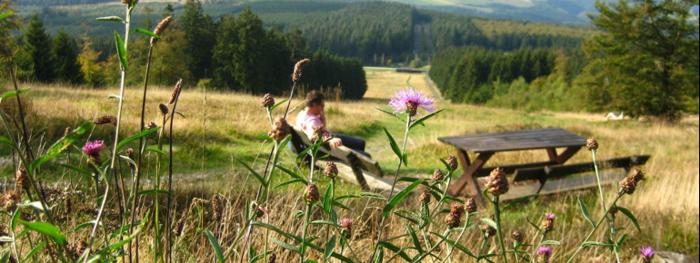 Rund um den Erbeskopf laden verschiedene Touren zu einer Wanderung durch den Nationalpark ein.